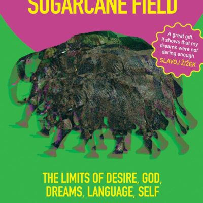 Elephants in a Sugarcane Field : The Limits of Desire, God, Dreams, Language, Self