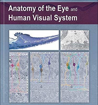 Anatomy Of The Eye And Human Visual System (Hb 2019)