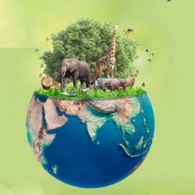 Biodiversity | (PB - 2026)