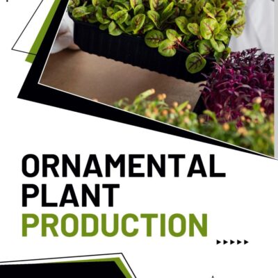 Ornamental Plant Production