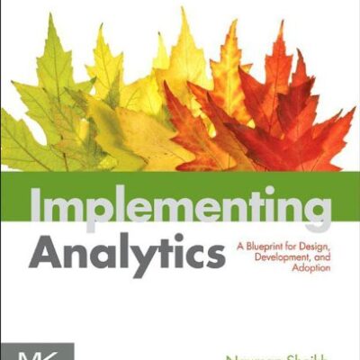 Implementing Analytics: A Blueprint for Design, Development, and Adoption (The Morgan Kaufmann Series on Business Intelligence)