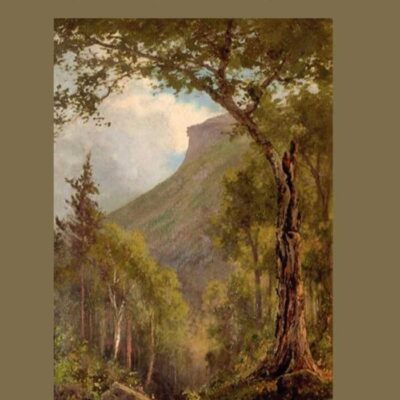 Among the Forest People