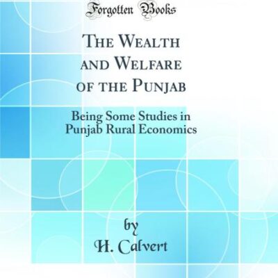 The Wealth and Welfare of the Punjab: Being Some Studies in Punjab Rural Economics (Classic Reprint)