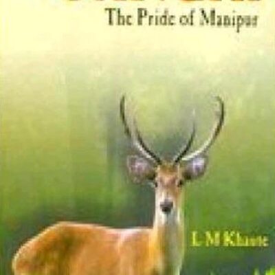 An Arabic-English Lexicon (5Th Vol)