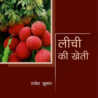 Litchi ki kheti