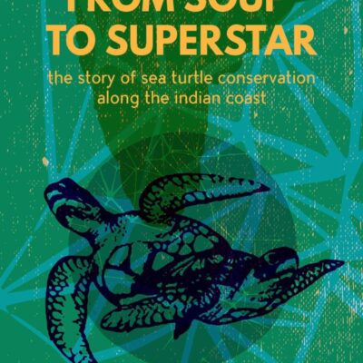 From Soup to Superstar