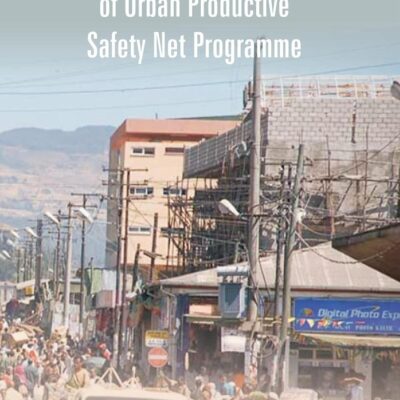 Challenges and Prospects of Urban Productive Safety Net Programme