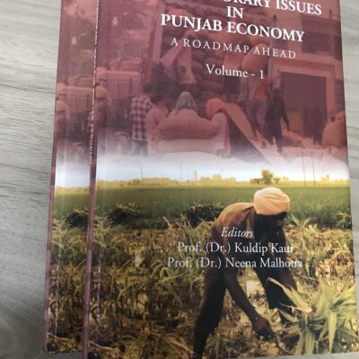 Contemporary Issues in Punjab Economy: A Roadmap Ahead ( 2 Vols Set)