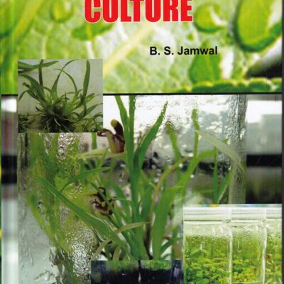 Plant Tissue Culture