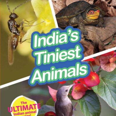 INDIA’S TINIEST ANIMALS : Wild About India - Engaging Book for Kids (Ages 5-15) - Fun Facts, Trivia Questions and Answers to Teach Your Children about the Animal Kingdom