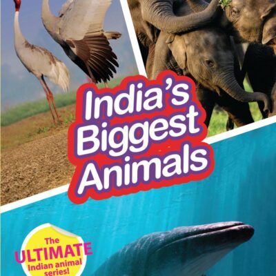 INDIA’S BIGGEST ANIMALS : Wild About India - Engaging Book for Kids (Ages 5-15) - Fun Facts, Trivia Questions and Answers to Teach Your Children about the Animal Kingdom