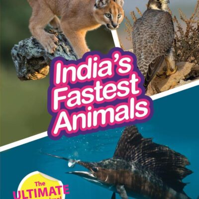 INDIA’S FASTEST ANIMALS : Wild About India - Engaging Book for Kids (Ages 5-15) - Fun Facts, Trivia Questions and Answers to Teach Your Children about the Animal Kingdom