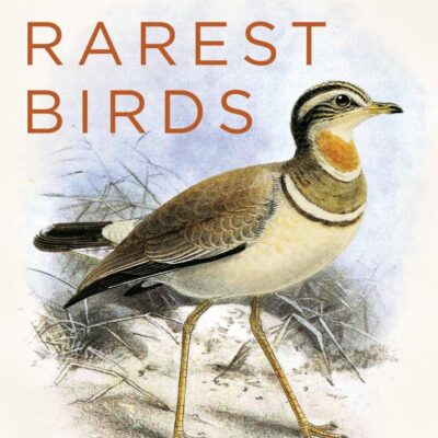 The Search For India’S Rarest Birds