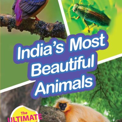 INDIA’S MOST BEAUTIFUL ANIMALS : Wild About India - Engaging Book for Kids (Ages 5-15) - Fun Facts, Trivia Questions and Answers to Teach Your Children about the Animal Kingdom