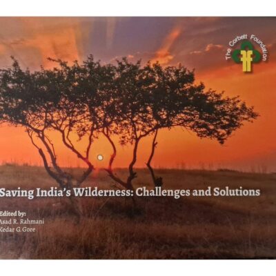Saving India's Wilderness: Challenges and Solutions