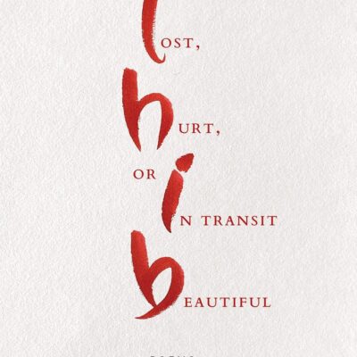 Lost, Hurt, Or In Transit Beautiful