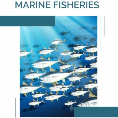 Fundamentals of Marine Fisheries