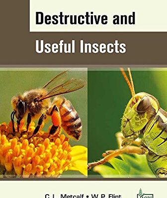 Destructive and Useful Insect