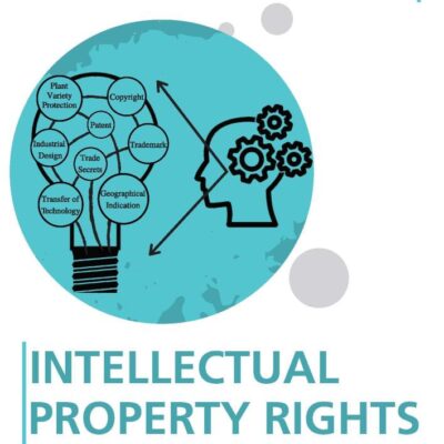 Intellectual Property Rights