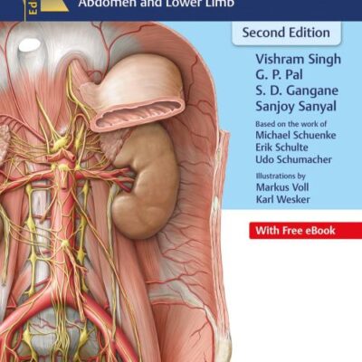 THIEME DISSECTOR ABDOMEN AND LOWER LIMB VOLUME 2 WITH ACCESS CODE 2ED (PB 2023)