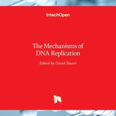 The Mechanisms of DNA Replication