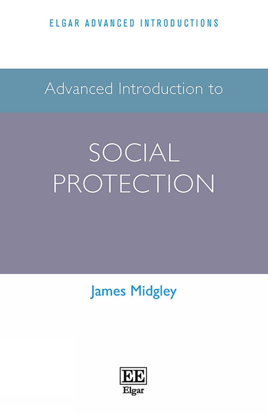 Advanced Introduction to Social Protection (Elgar Advanced Introductions series)