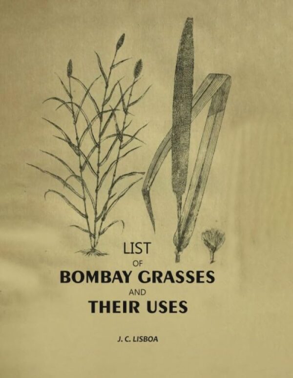 List Of Bombay Grasses And Their Uses