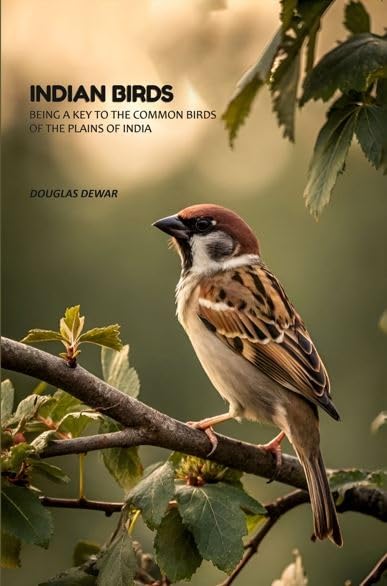 Indian Birds: Being A Key To The Common Birds Of The Plains Of India [Hardcover]