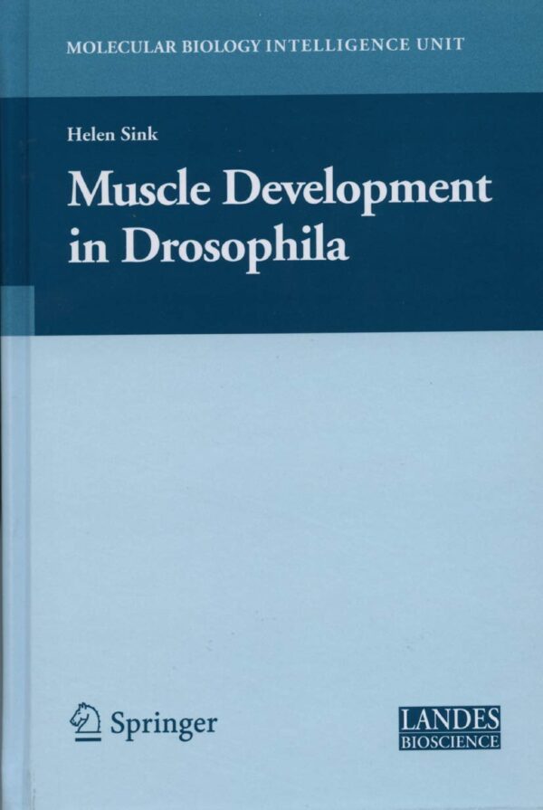 MUSCLE DEVELOPMENT IN DROSOPHILIA (HB)