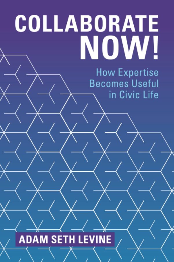 Collaborate Now!: How Expertise Becomes Useful in Civic Life