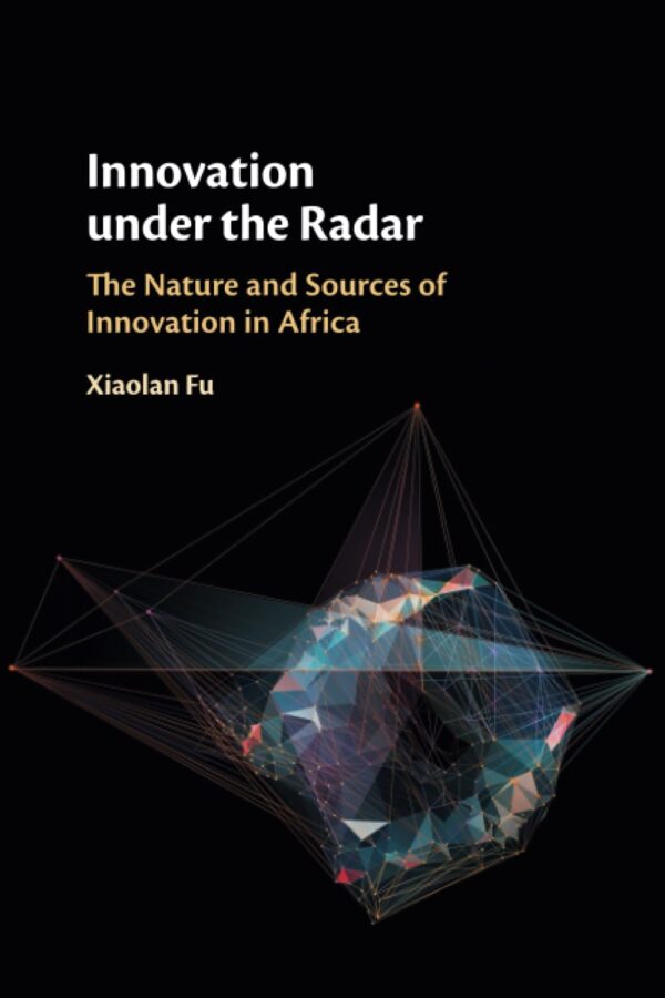 Innovation under the Radar: The Nature and Sources of Innovation in Africa