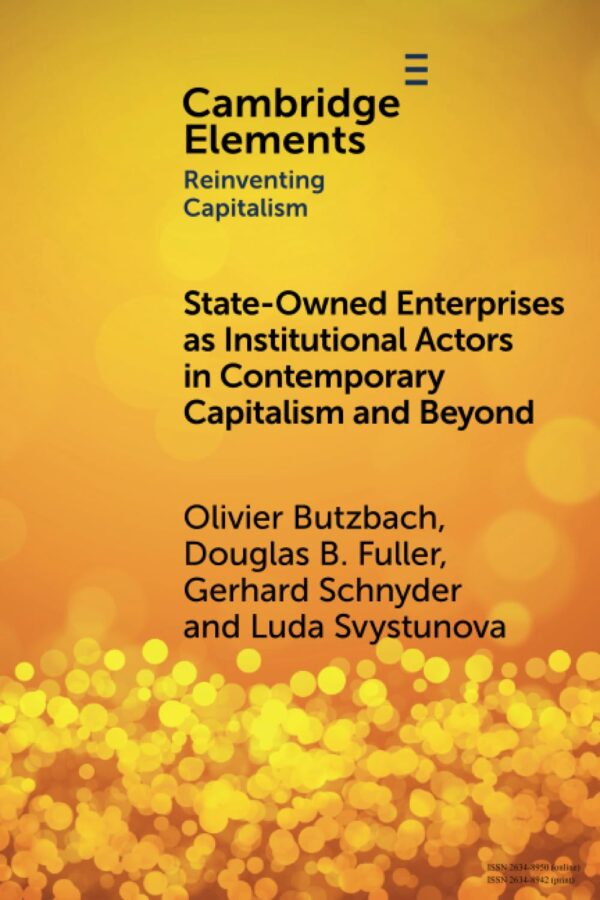 State-Owned Enterprises as Institutional Actors in Contemporary Capitalism and Beyond (Elements in Reinventing Capitalism)
