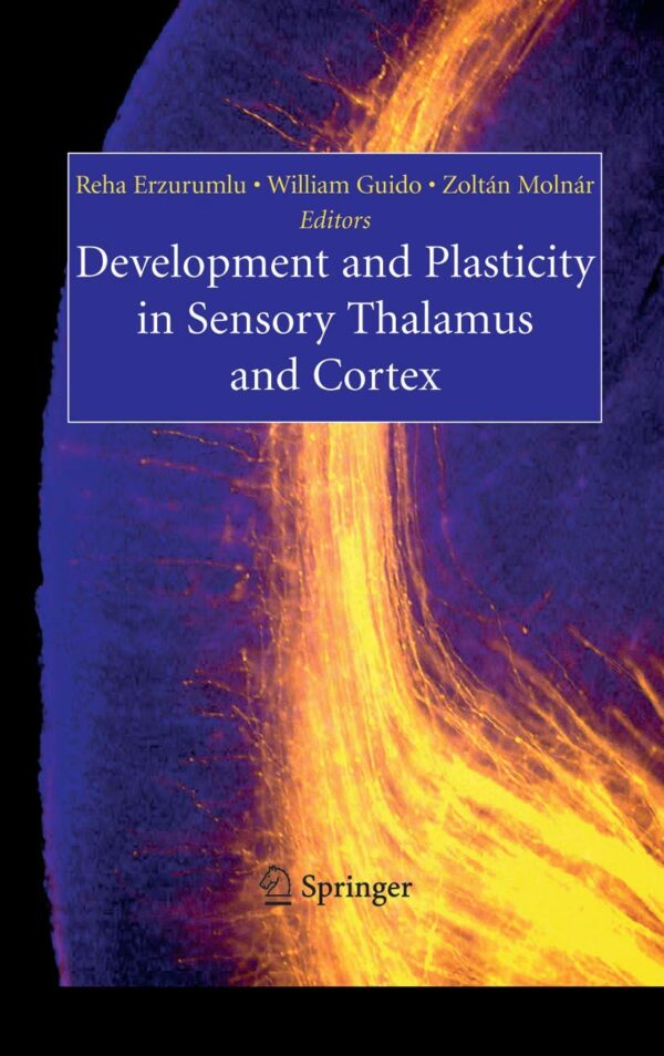 DEVELOPMENT AND PLASTICITY IN SENSORY THALAMUS AND CORTEX