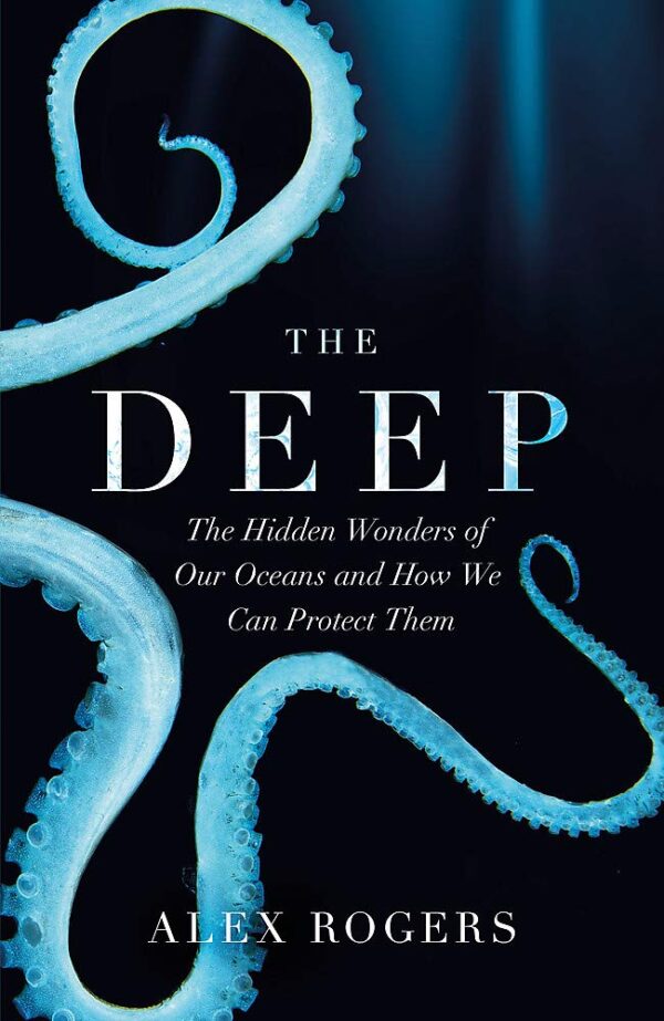 THE DEEP