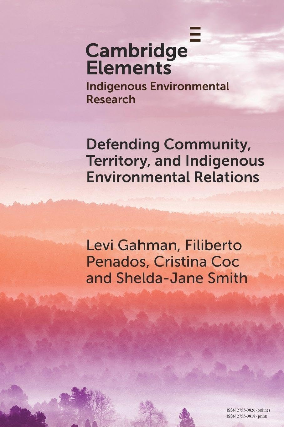 Defending Community, Territory, and Indigenous Environmental Relations (Elements in Indigenous Environmental Research)