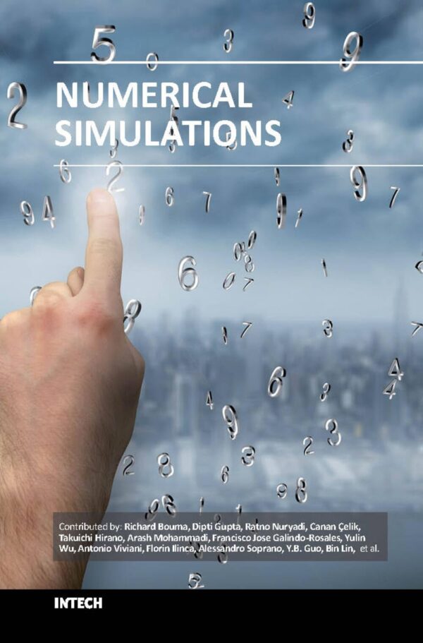 Numerical Simulations