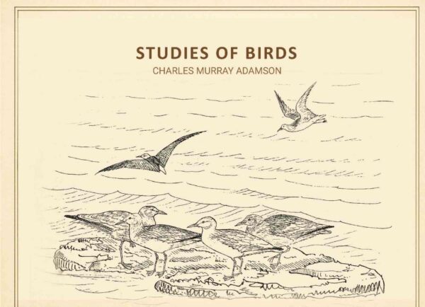Studies of birds [Hardcover]