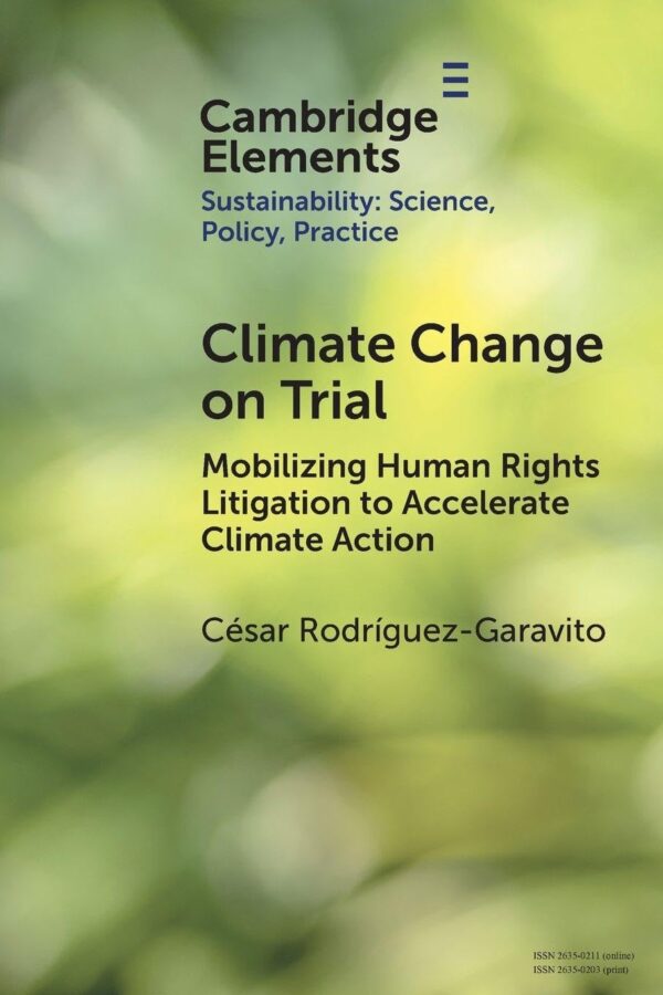 Climate Change on Trial: Mobilizing Human Rights Litigation to Accelerate Climate Action (Elements of Sustainability: Science, Policy, Practice)