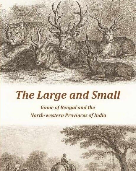 The Large and Small Game of Bengal and the North-western Provinces of India