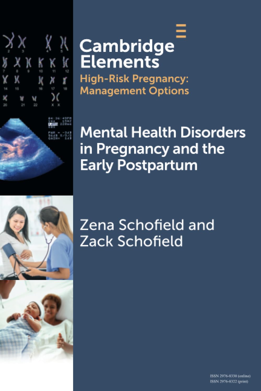 Mental Health Disorders in Pregnancy and the Early Postpartum (Elements in High Risk Pregnancy: Management Options)