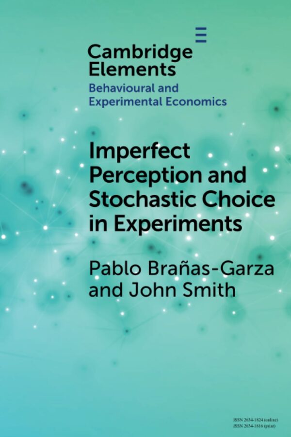 Imperfect Perception and Stochastic Choice in Experiments (Elements in Behavioural and Experimental Economics)