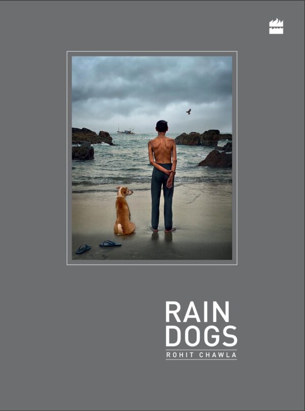 RAIN DOGS
