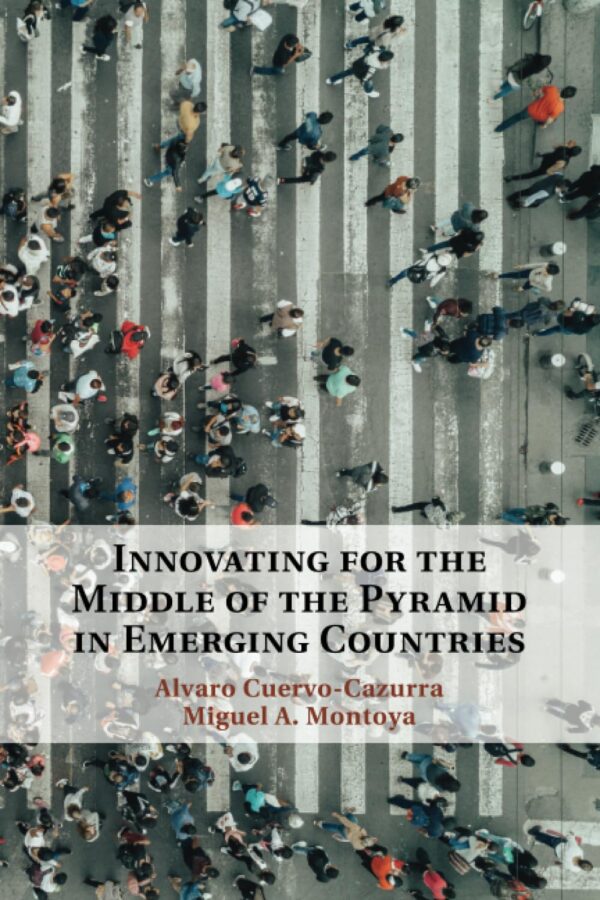 Innovating for the Middle of the Pyramid in Emerging Countries