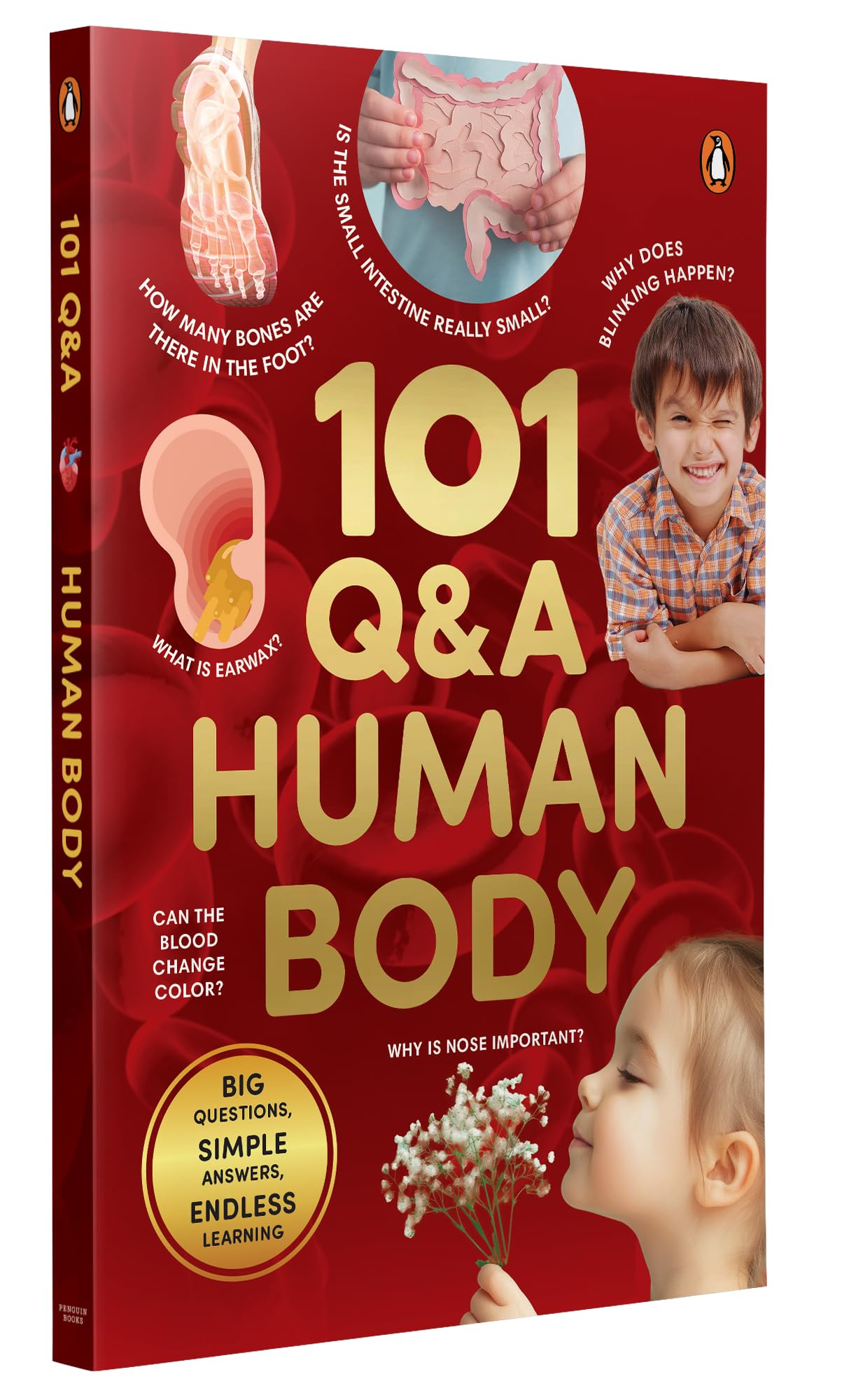 101 Q&A Series - Human Body: Encyclopedia for Kids I Amazing Questions and Answers I Knowledge Book with Simple Explanations & Bright Pictures | STEM Learning I Ages 7+| Select Learning