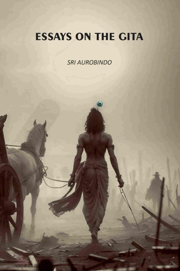 Essays On The Gita