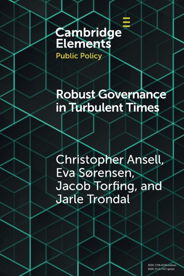Robust Governance in Turbulent Times (Elements in Public Policy)