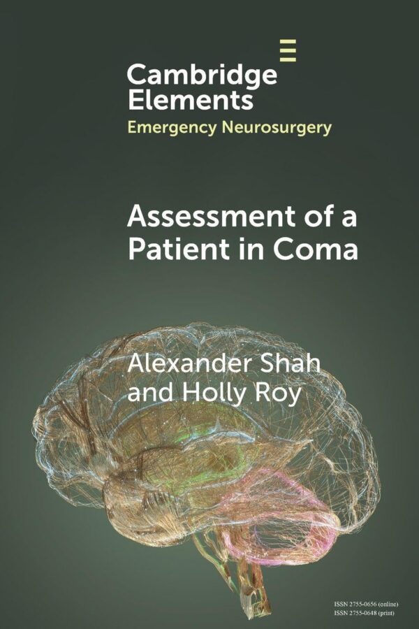 Assessment of a Patient in Coma (Elements in Emergency Neurosurgery)