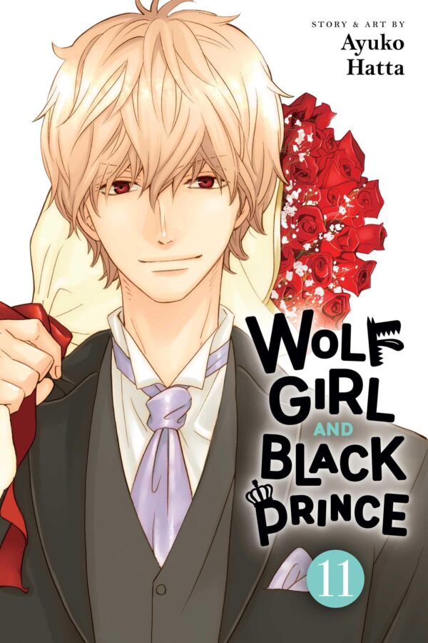 Wolf Girl and Black Prince 11: Volume 11