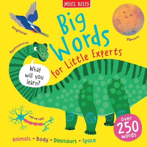 LITTLE EXPERTS: BIG WORDS