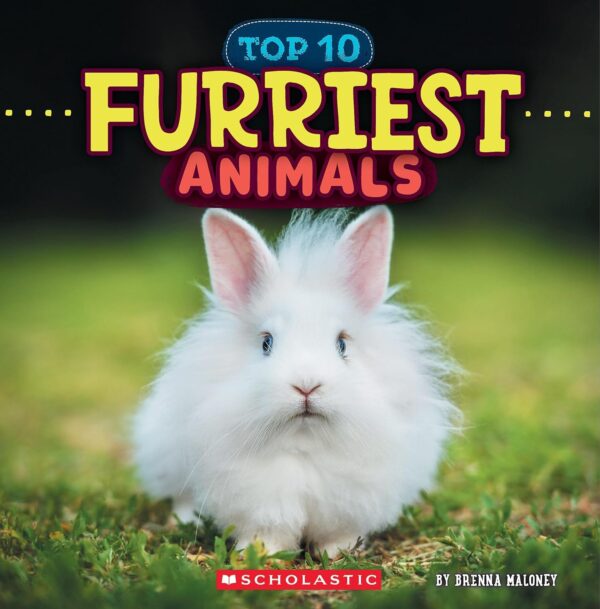 Furriest Animals (Wild World: Top 10)